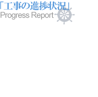 uH̐i󋵁vProgress Report