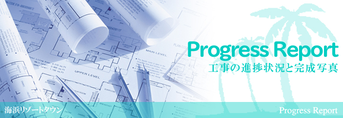 Progress Report H̐i