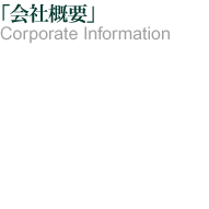 ҳ CORPORATE INFORMATION