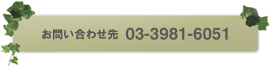 䤤碌03-3981-6051