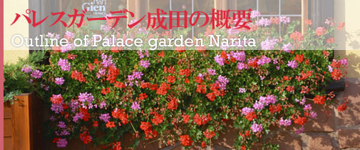 pXK[fc̊Tv PALACE GARDEN NARITA