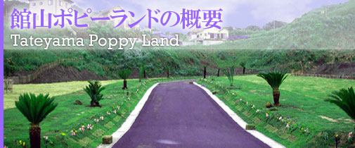 َR|s[h̊Tv Tateyama Poppy Land