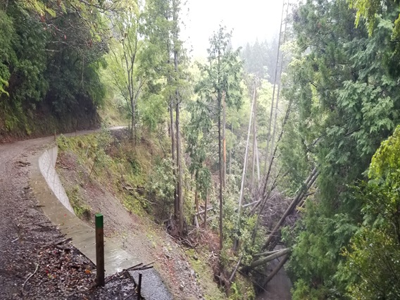 ������ɽ������ʤ����ϥ֥饦���κ��ɤ߹��ߥܥ���򥯥�å����Ʋ�������